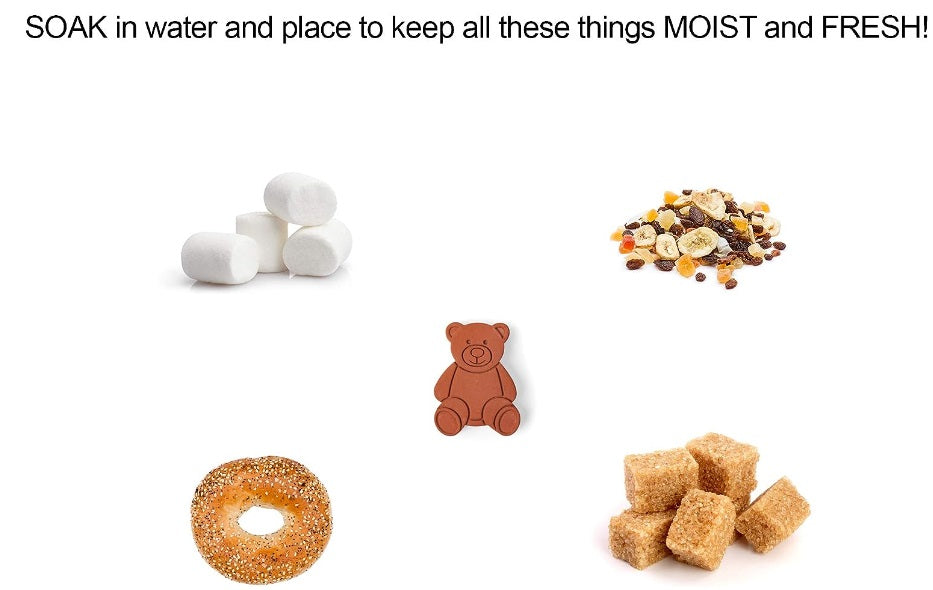 Fox Run Terracotta Brown Sugar Bear Keeper & Saver by Kitchen Niche