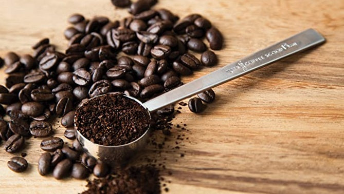 Fox Run Stainless Steel Coffee Scoop by Kitchen Niche