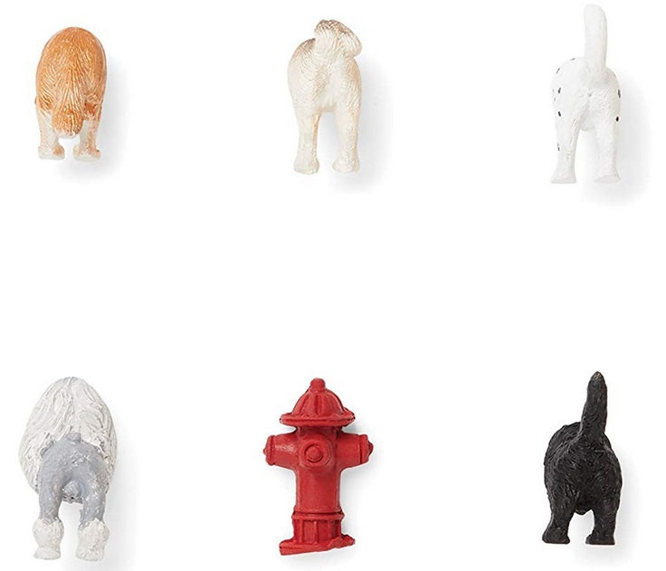 Fox Run Dog Tail Magnet Set of 6 by Kitchen Niche