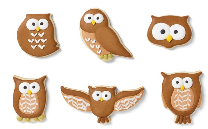 Fox Run Owl Cookie Cutter Set by Kitchen Niche
