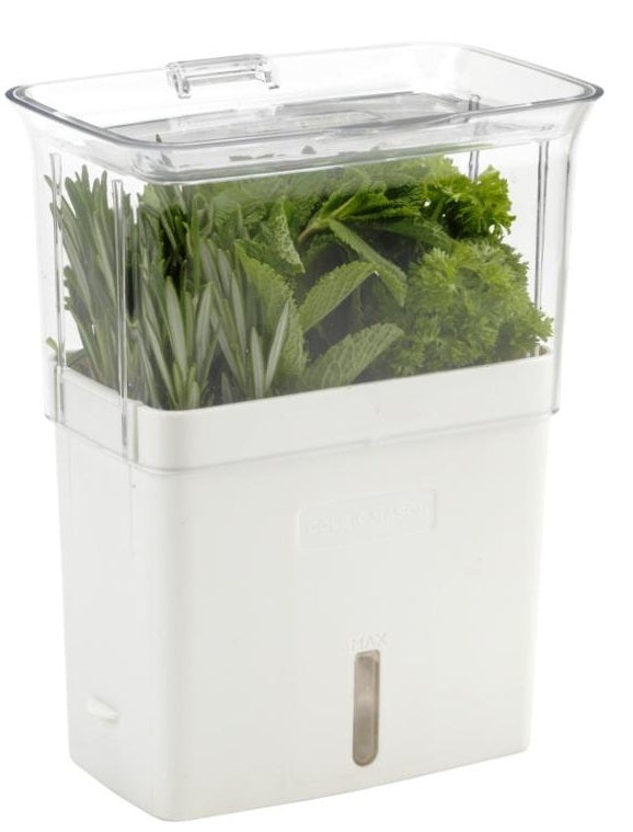 Cole & Mason Fresh Herb Keeper by Kitchen Niche