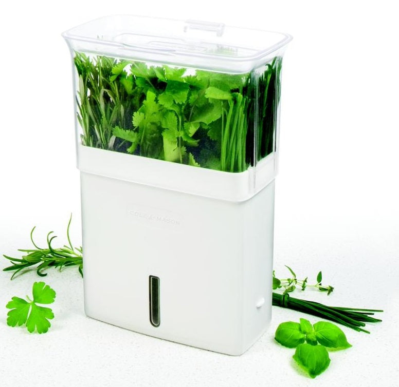 Cole & Mason Fresh Herb Keeper by Kitchen Niche