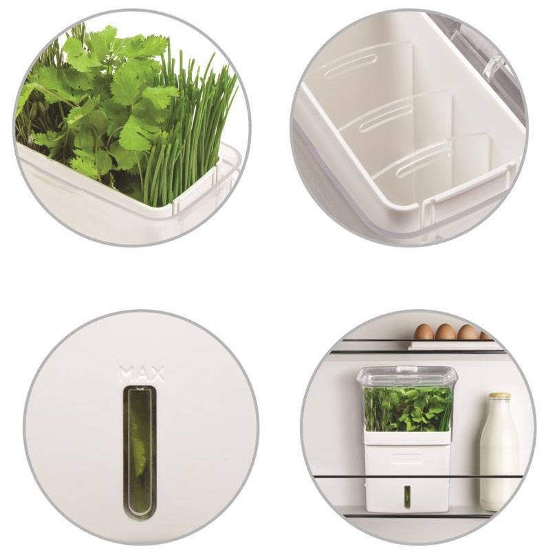 Cole & Mason Fresh Herb Keeper by Kitchen Niche