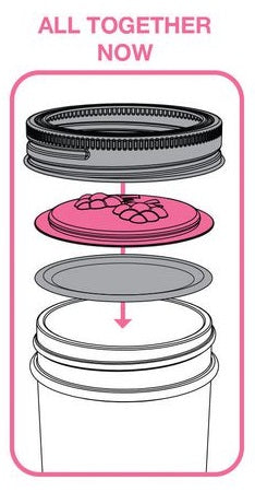 Jarware Set of 4 Berry Mason Jar Lid by Kitchen Niche