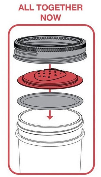 Jarware Set of 4 Strawberry Mason Jar Lid by Kitchen Niche