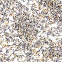 Metropolitan Tea Company Loose Lavender Tea Super Blue by Kitchen Niche