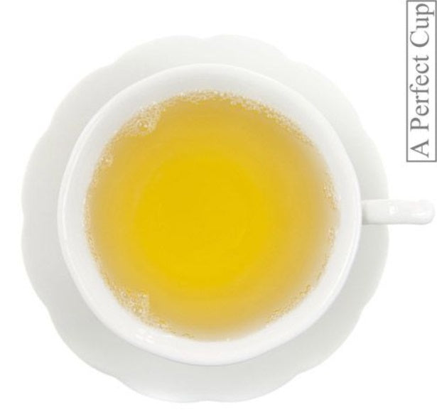 Metropolitan Tea Company Atlantico Lime Green Tea 1.1lbs by Kitchen Niche