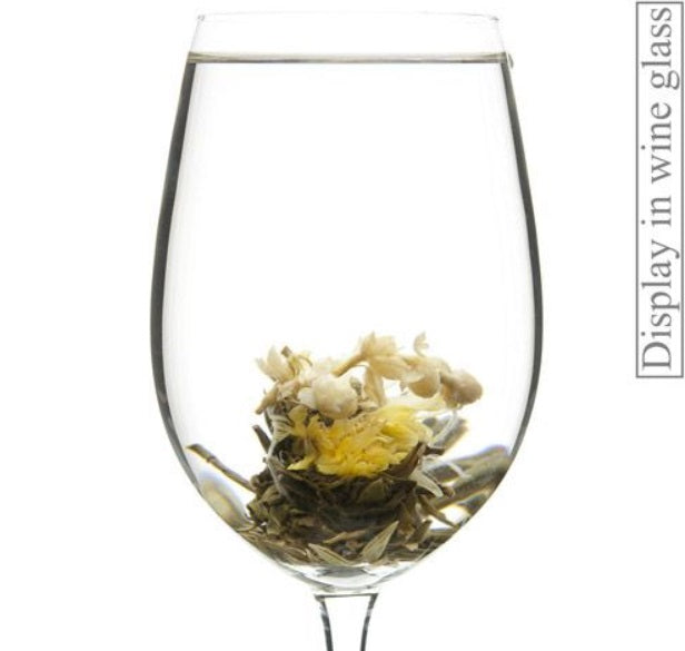 Metropolitan Tea Company Allegria Jasmine Burst Artisan Tea Metropolitan Tea Company by Kitchen Niche