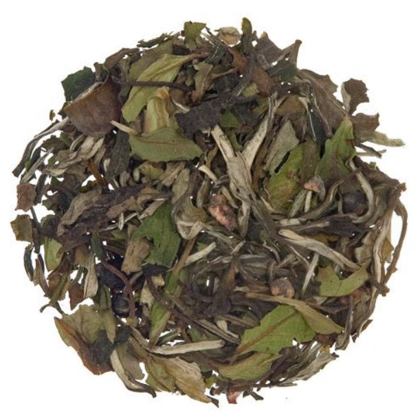 Metropolitan Tea Company Blueberry White Tea 1.1lbs Metropolitan Tea Company by Kitchen Niche