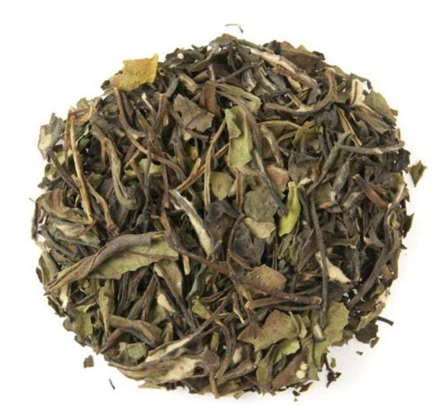 Metropolitan Tea Company British Earl White Tea 1.1lbs by Kitchen Niche