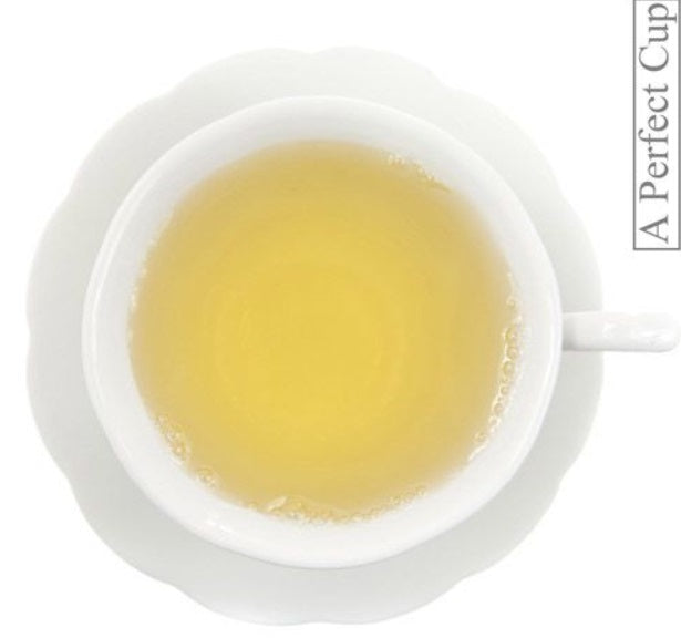 Metropolitan Tea Company Ginger Green Tea 1.1lbs by Kitchen Niche