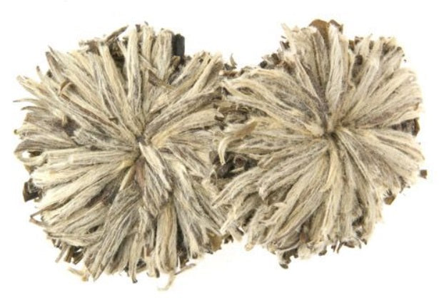 Metropolitan Tea Company Jasmine Bai Mu Dan Artisan Tea 1.1lbs Metropolitan Tea Company by Kitchen Niche