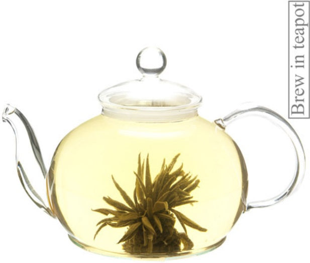 Metropolitan Tea Company Jasmine Balls Artisan Tea 1.1lbs Metropolitan Tea Company by Kitchen Niche