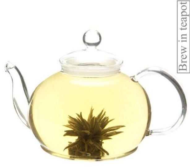 Metropolitan Tea Company Silver Balls Green Artisan Tea 1.1lbs Metropolitan Tea Company by Kitchen Niche