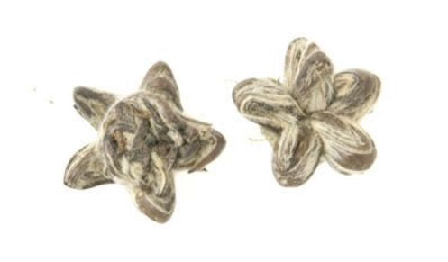 Metropolitan Tea Company Star of China Artisan Tea 1.1lbs Metropolitan Tea Company by Kitchen Niche