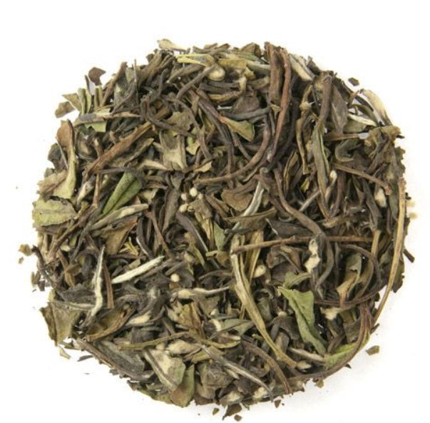 Metropolitan Tea Company Tangiers Lemon White Tea 1.1lbs Metropolitan Tea Company by Kitchen Niche