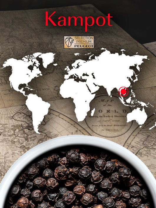 Peugeot Kampot Cambodia Black Pepper 60g by Kitchen Niche