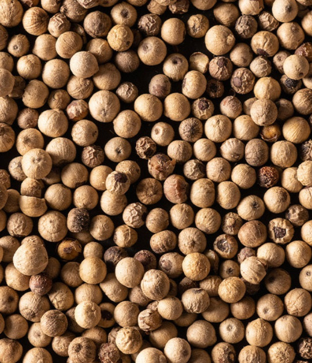 Peugeot Sarawak Malaysia White Pepper 80g by Kitchen Niche