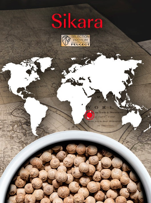 Peugeot Sikara Madagascar White Pepper 60g by Kitchen Niche