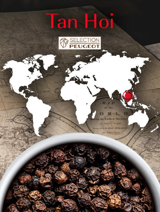Peugeot Tan Hoi Black Pepper 80g by Kitchen Niche