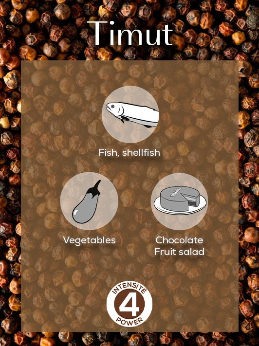 Peugeot Timut Nepal Wild Peppercorns 40g by Kitchen Niche