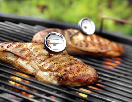 Outset Set of 2 Poultry Thermometers by Kitchen Niche