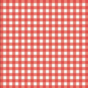 Fox Run Red Gingham French Fry Paper by Kitchen Niche