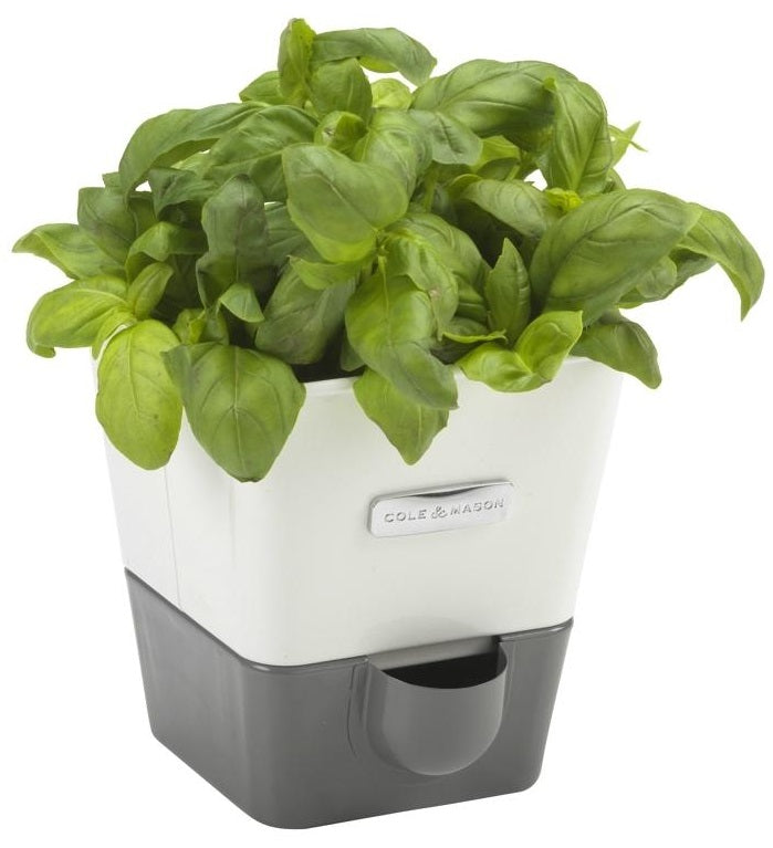Cole & Mason Self-Watering Herb Keeper by Kitchen Niche