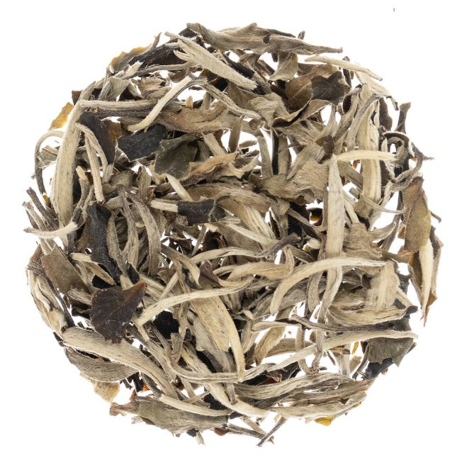 Metropolitan Tea Silver Moonlight Wild White Loose Leaf Tea 0.55 lbs by Kitchen Niche