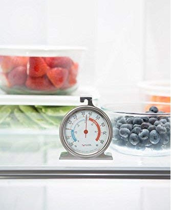 Taylor Dial Fridge & Freezer Thermometer by Kitchen Niche
