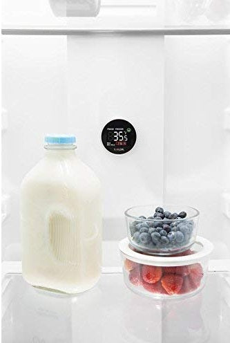 Taylor Safety Zone Fridge & Freezer Digital Thermometer by Kitchen Niche