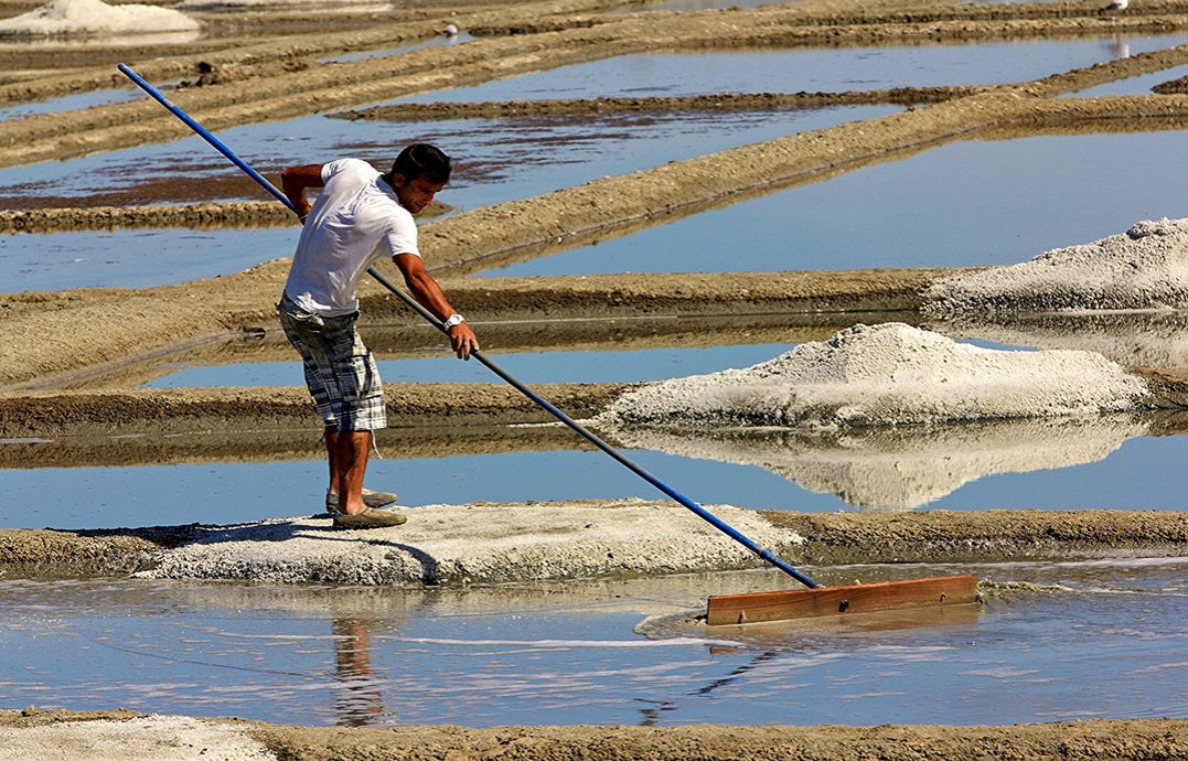 Peugeot Oleron Natural 14cm Wet Salt Mill by Kitchen Niche